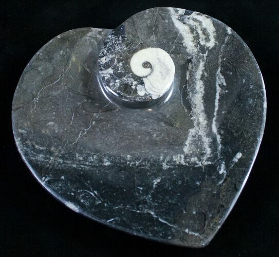 Heart Shaped Fossil Goniatite Dish #9005